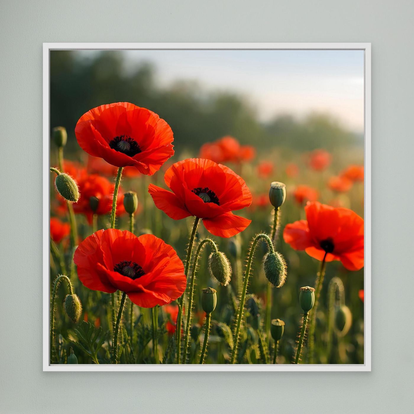 Wandbild mit rotem Klatschmohn auf grünem Feld, weißer Rahmen