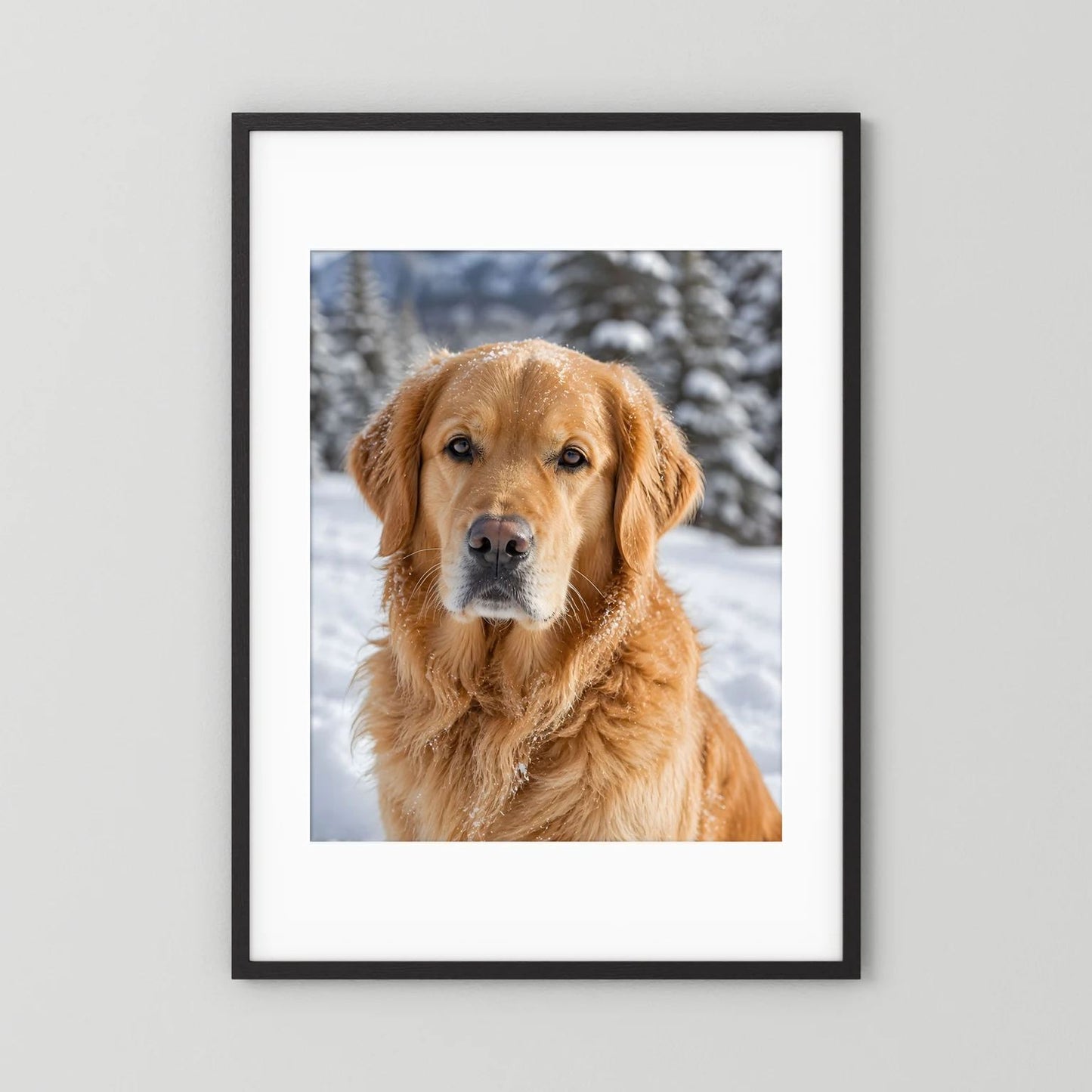 Hundeposter mit Golden Retriever im Schnee, im schwarzen Rahmen mit weißem Rand