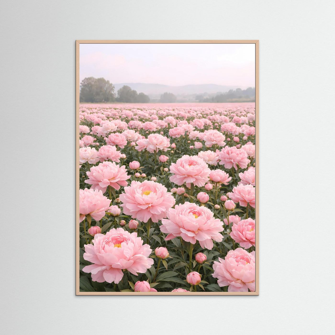Poster Pfingstrosenfeld im Morgendunst | Rosa Blumenwiese Wandbild