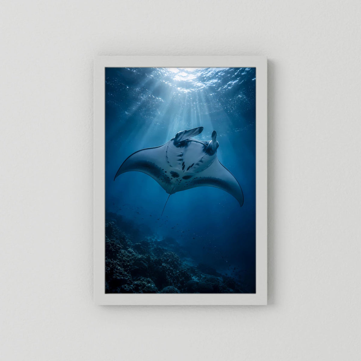 Poster mit Mantarochen unter Wasser, blaues Motiv, weißer Rahmen