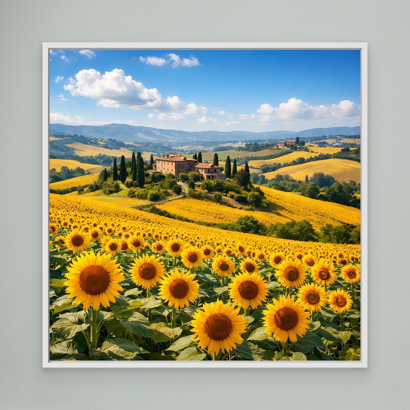 Leinwandbild mit Sonnenblumenfeld und toskanischer Hügellandschaft, weiß gerahmt