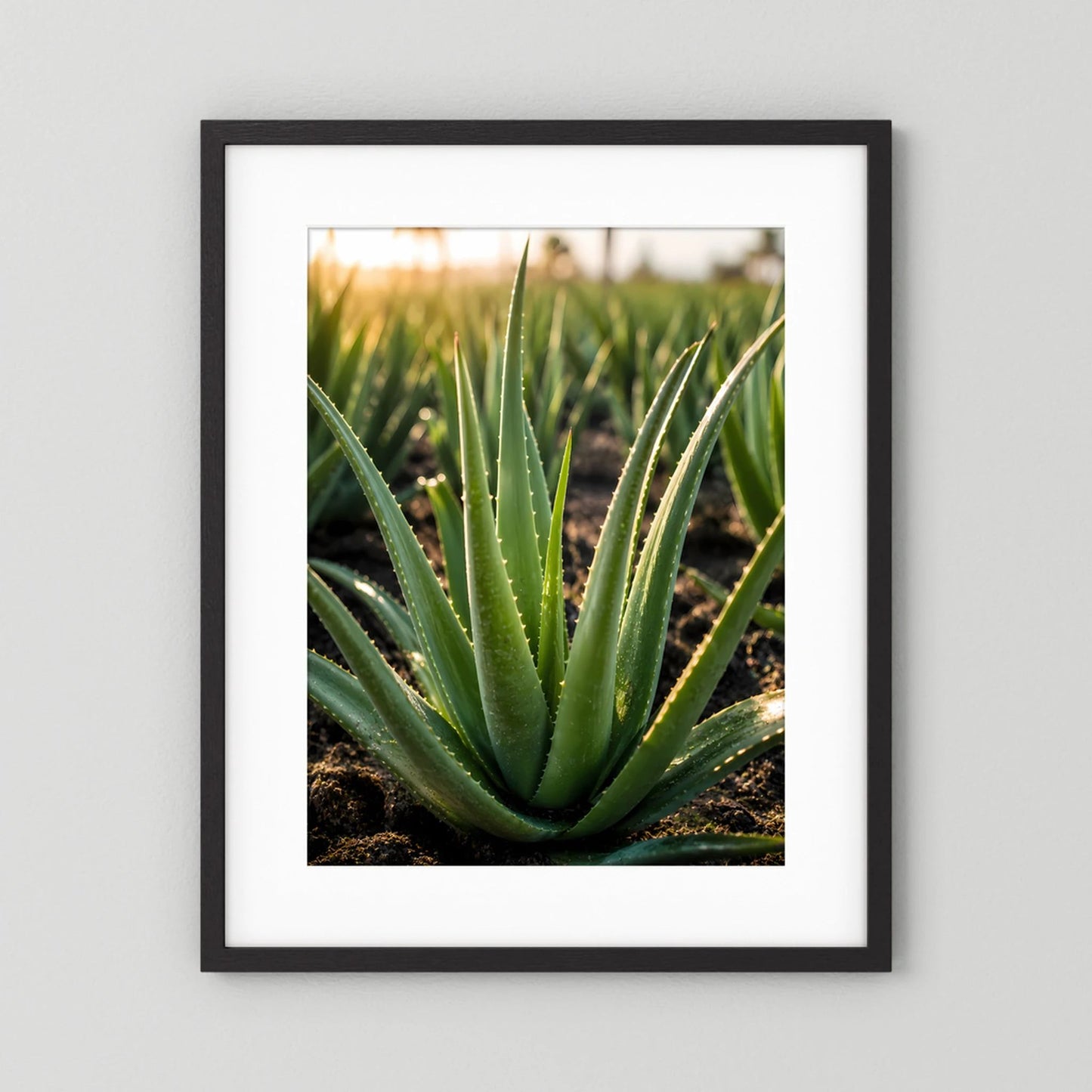 Poster mit Aloe-Vera-Zierpflanze im schwarzen Rahmen, Blattdetail, Hochformat.