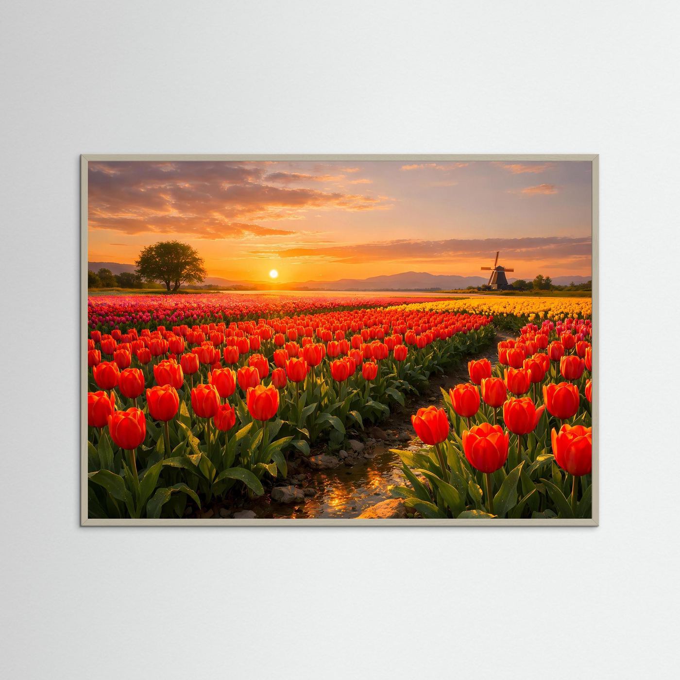 Gerahmtes Poster mit rotem Tulpenfeld und Windmühle zur Abendsonne im grauen Rahmen