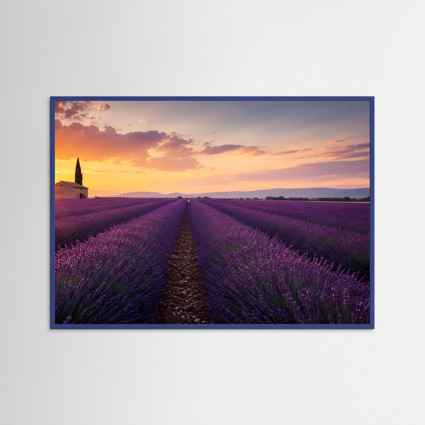 Lavendelfeld im Sonnenuntergang | Provence Landschaft in Lila & Gold