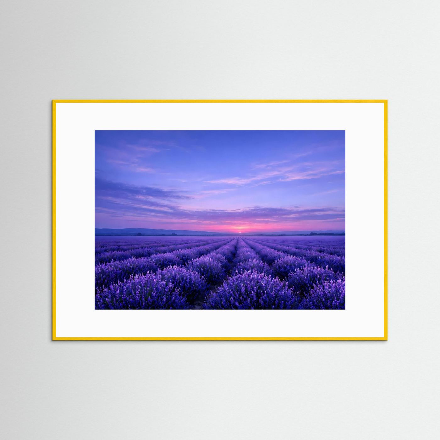 Poster Lavendelfeld im Sonnenuntergang | Majestätisches Violettes Wandbild