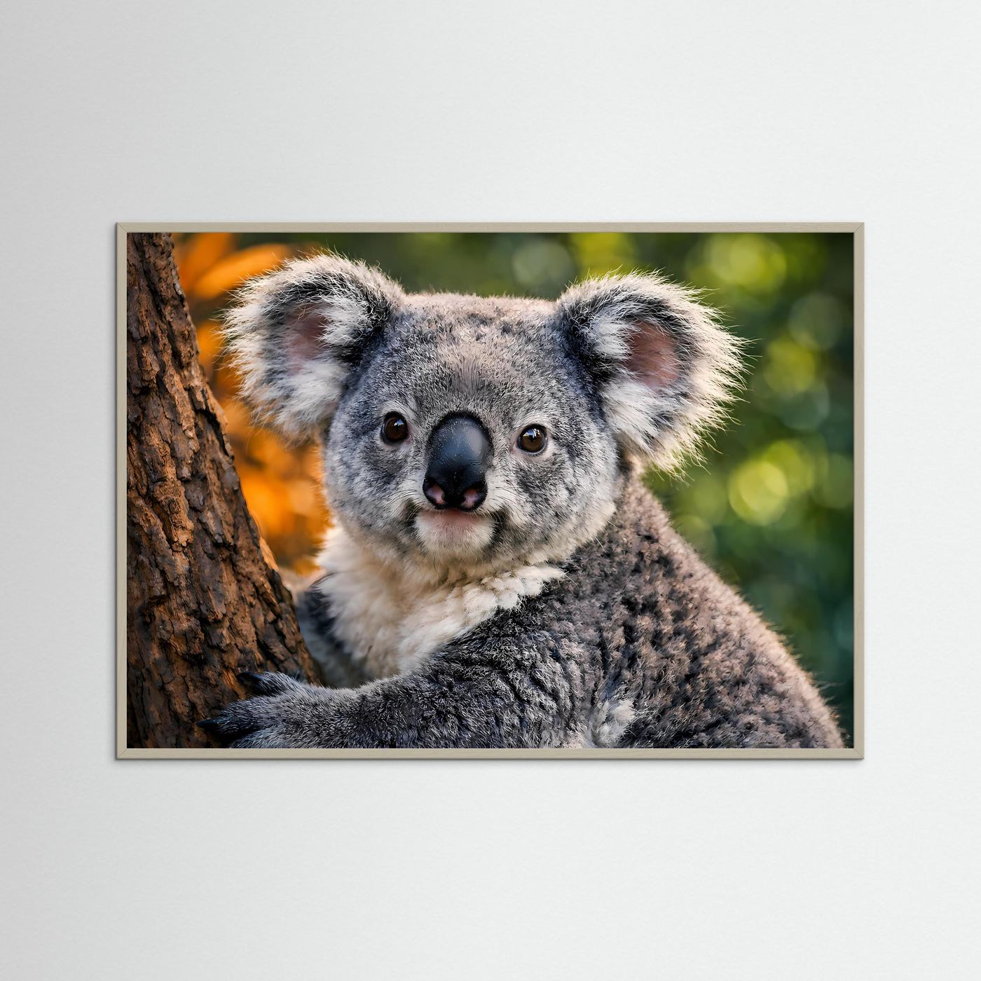 Gerahmtes Tierposter mit sitzendem Koala auf Baumstamm, grauer Rahmen