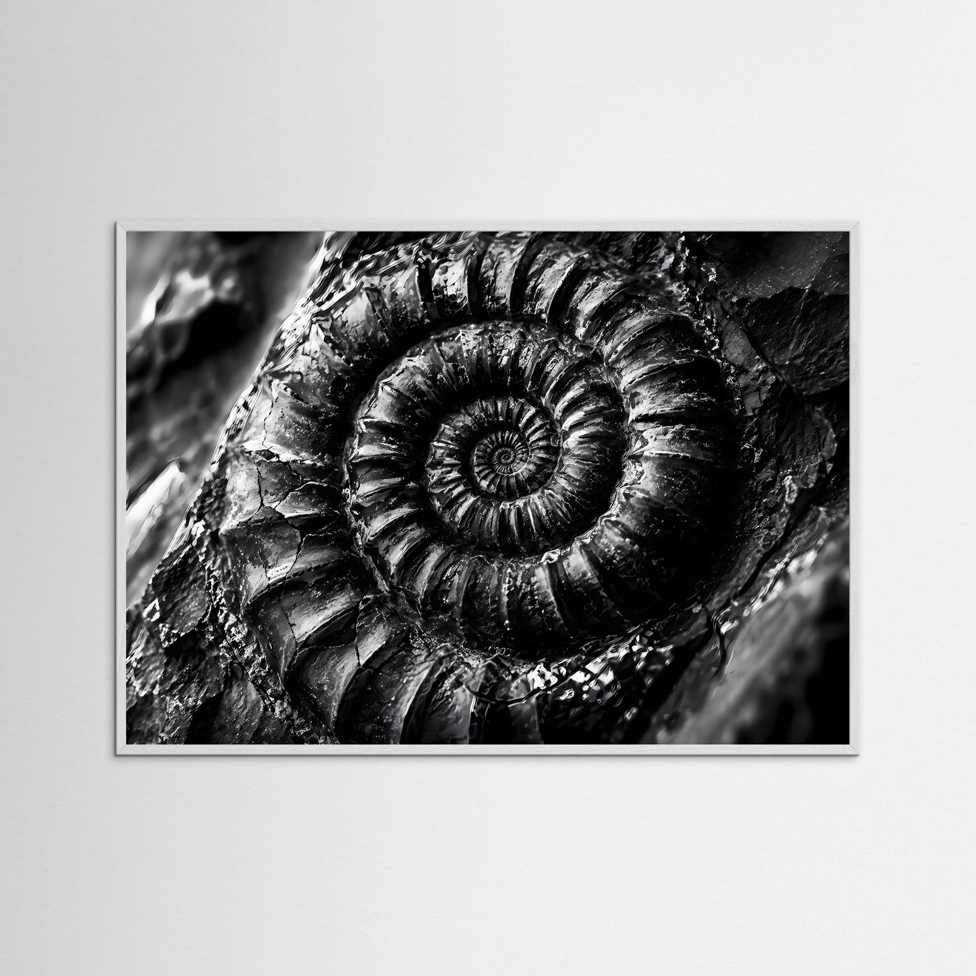 Ammonit Fossil Schwarz Weiß Poster | Makro Fossilien Wandkunst | Monochrome Naturkunst | Geologie Leinwand | Modernes Spiral Fossil Bild