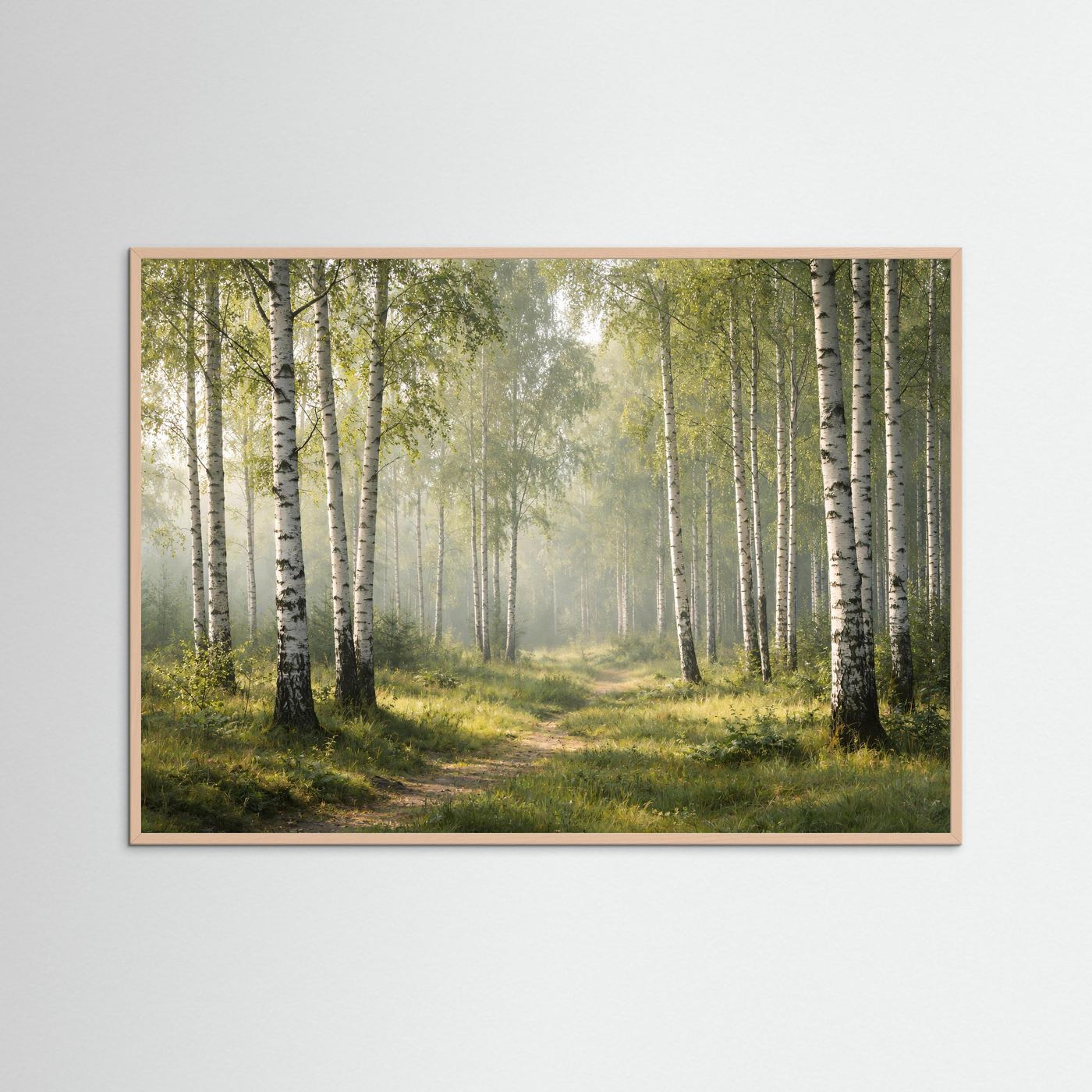 Lichtdurchfluteter Birkenhain im Morgenlicht | Panorama Wald & Natur Poster Querformat
