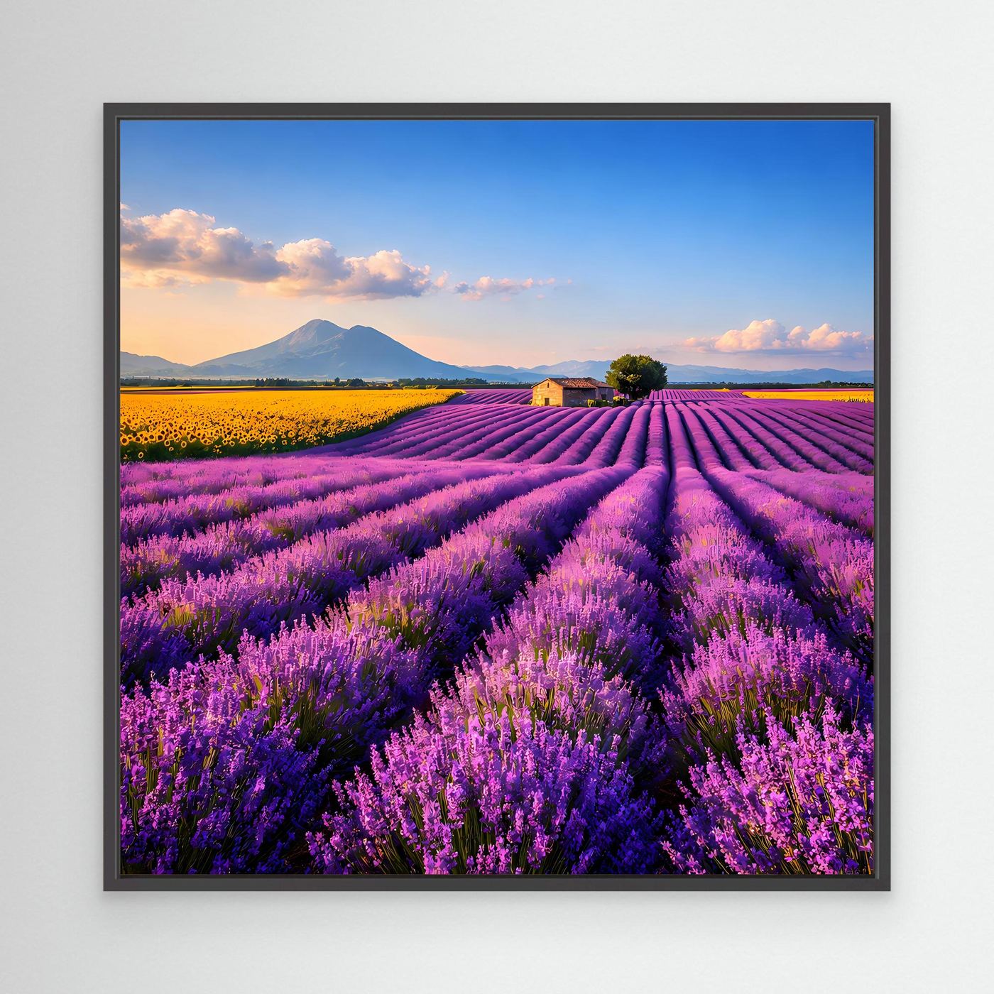 Leinwandbild mit Lavendelfeld in Provence-Optik, lila Reihen und blauer Himmel, dunkler Rahmen