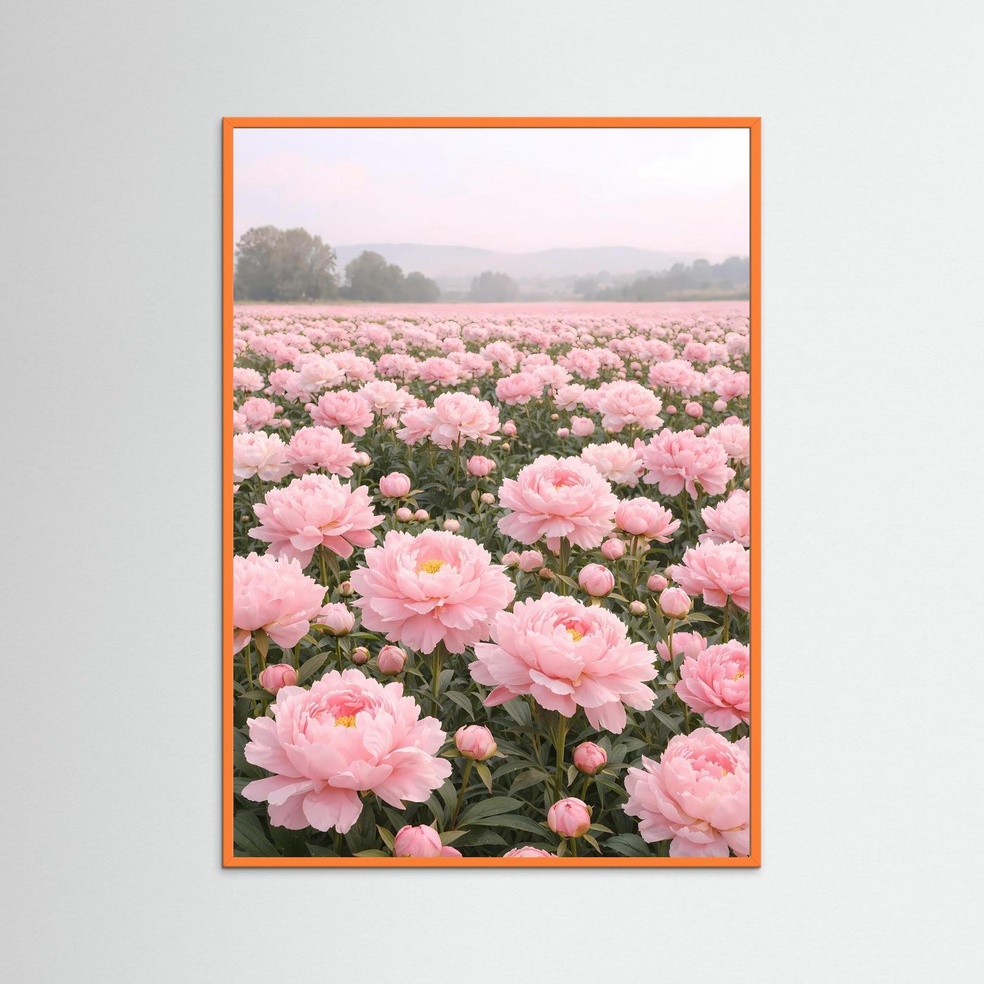 Poster Pfingstrosenfeld im Morgendunst | Rosa Blumenwiese Wandbild