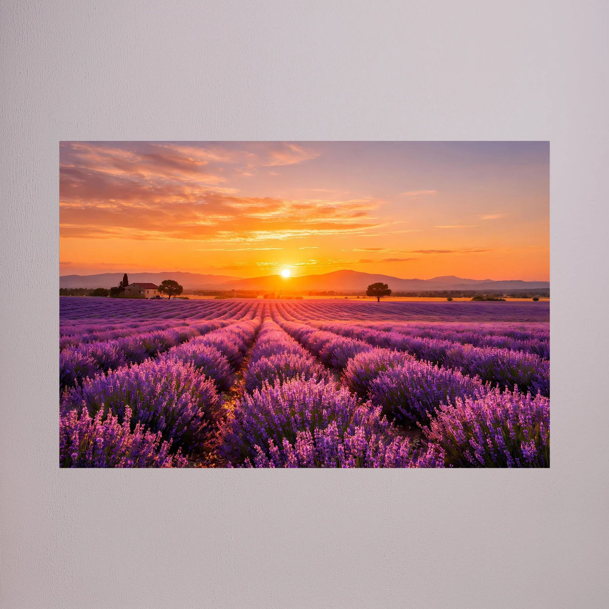 Lavendelfeld-Wandbild im Querformat mit Sonnenuntergang, ohne Rahmen