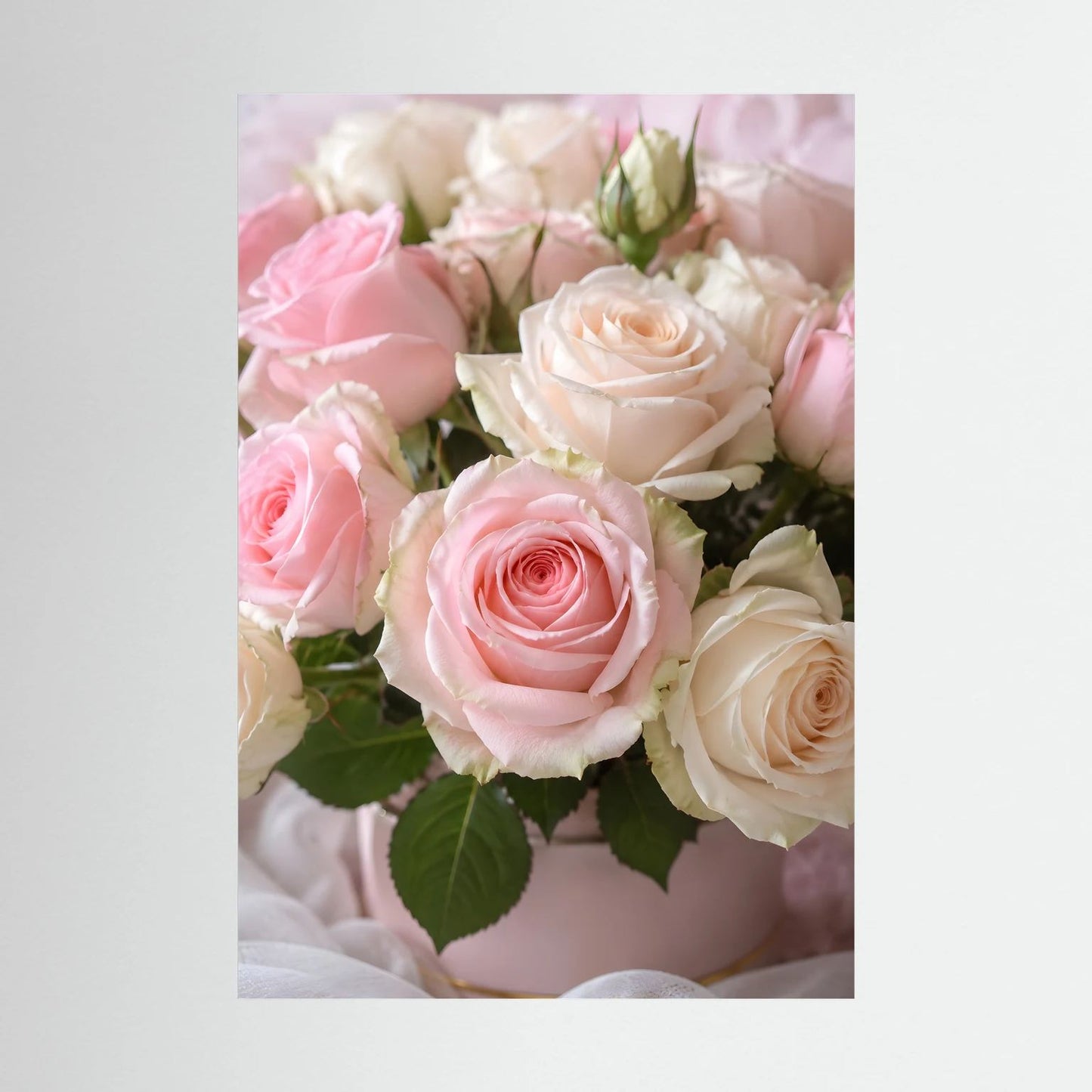 Poster mit Detailansicht rosa und weißer Rosenblüten