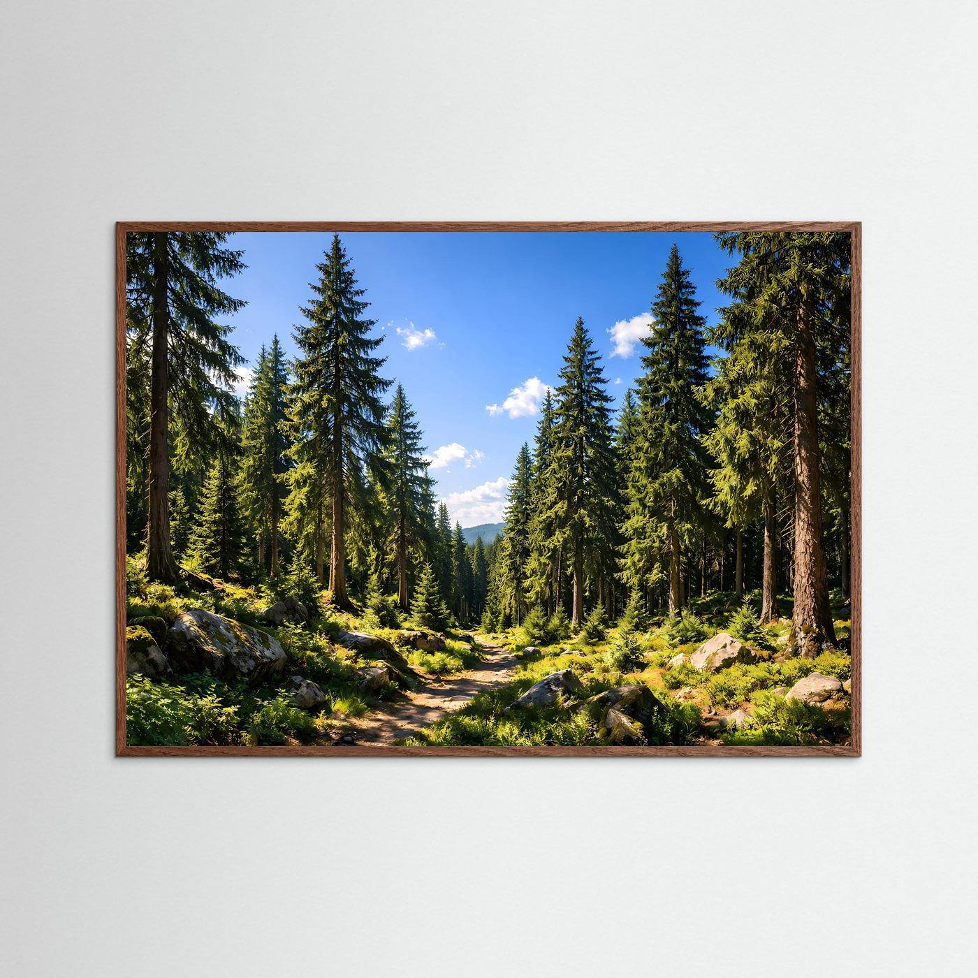 Sonniger Nadelwald im Sommer | Panorama Pfad & Natur Poster Querformat
