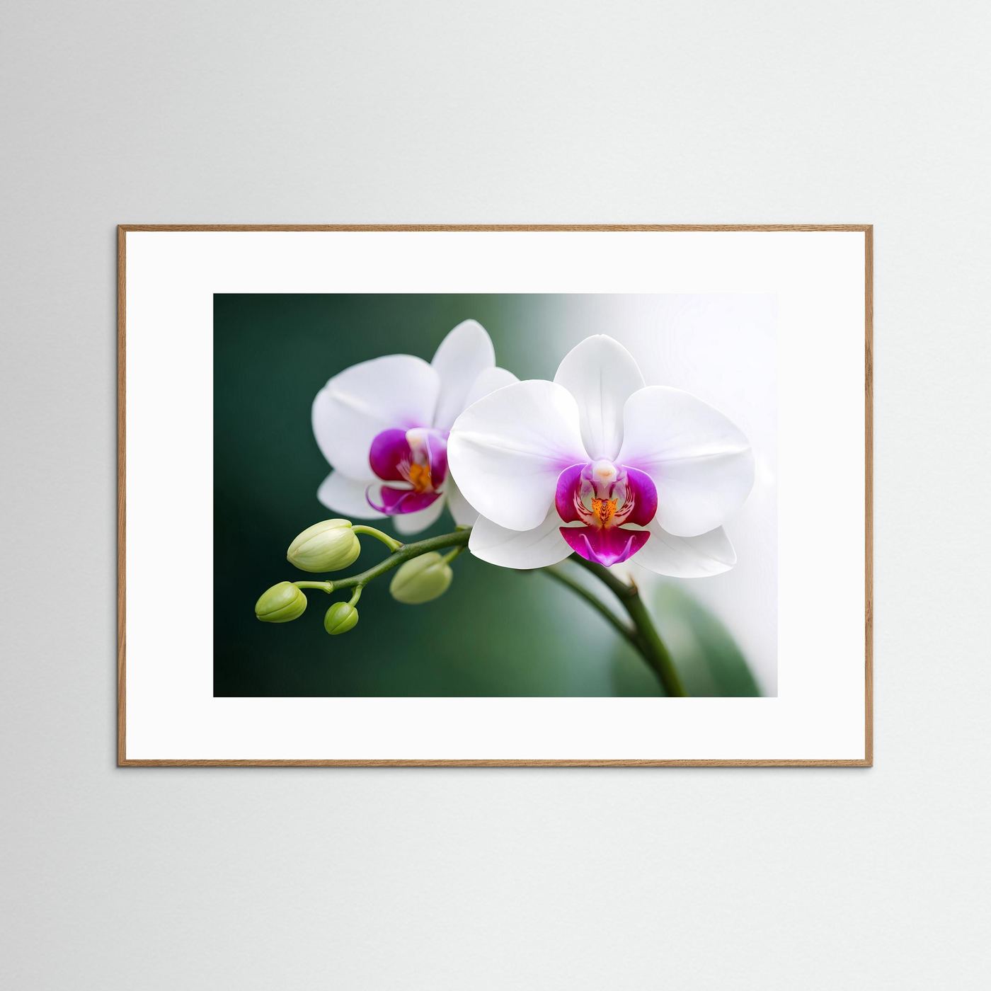 Orchideen-Poster mit weißen Blüten und grünen Knospen, in hellem Holzrahmen