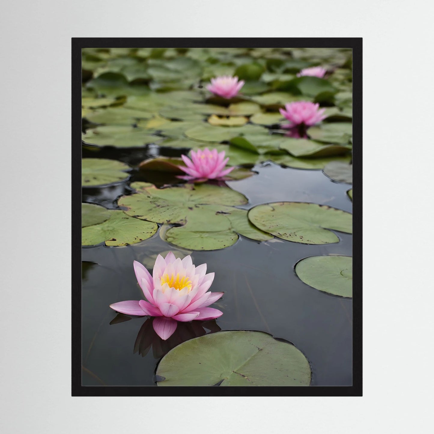 Hochformatiger Kunstdruck mit rosa Seerosen im Teich, im schwarzen Rahmen