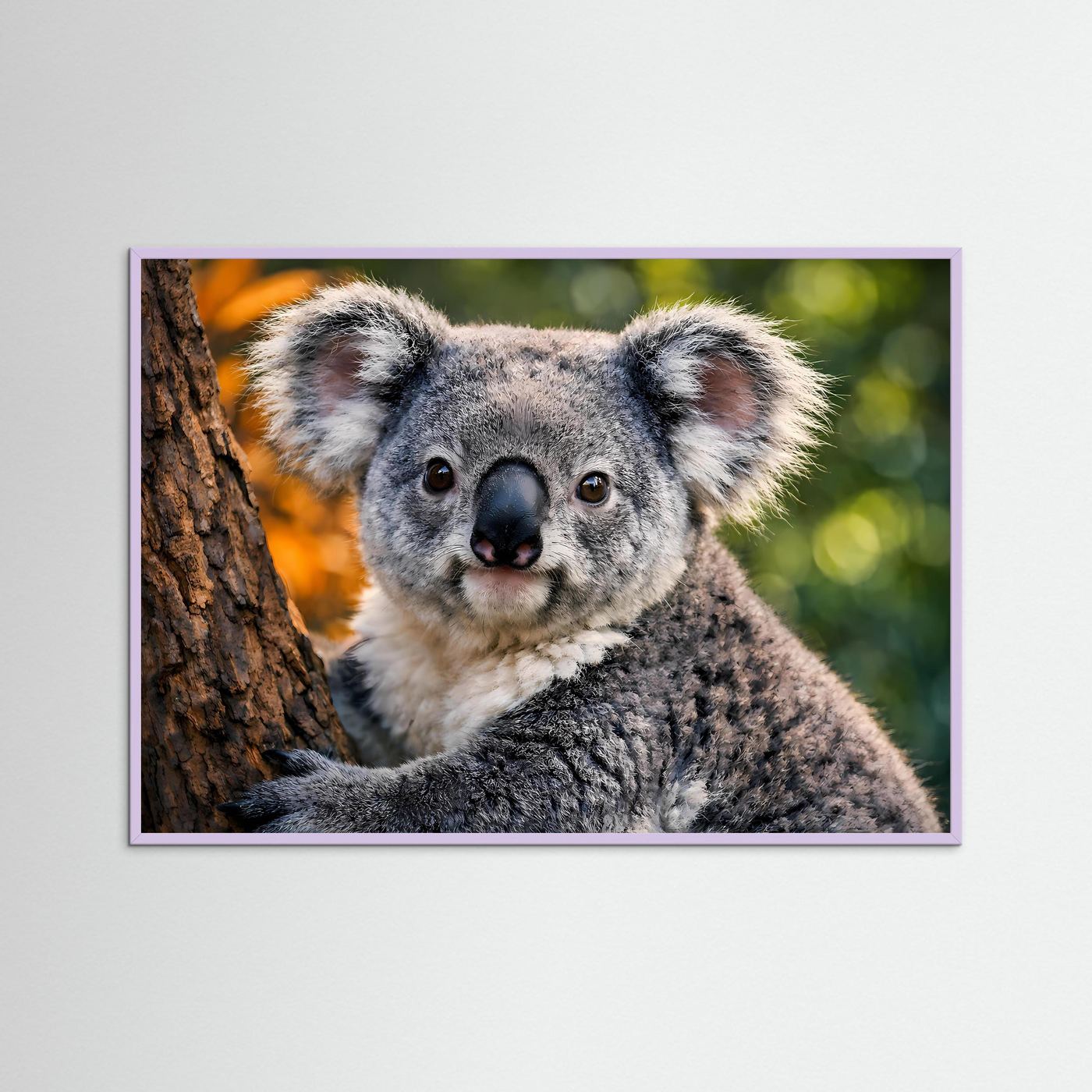 Gerahmtes Tierposter mit sitzendem Koala auf Baumstamm, violetter Rahmen