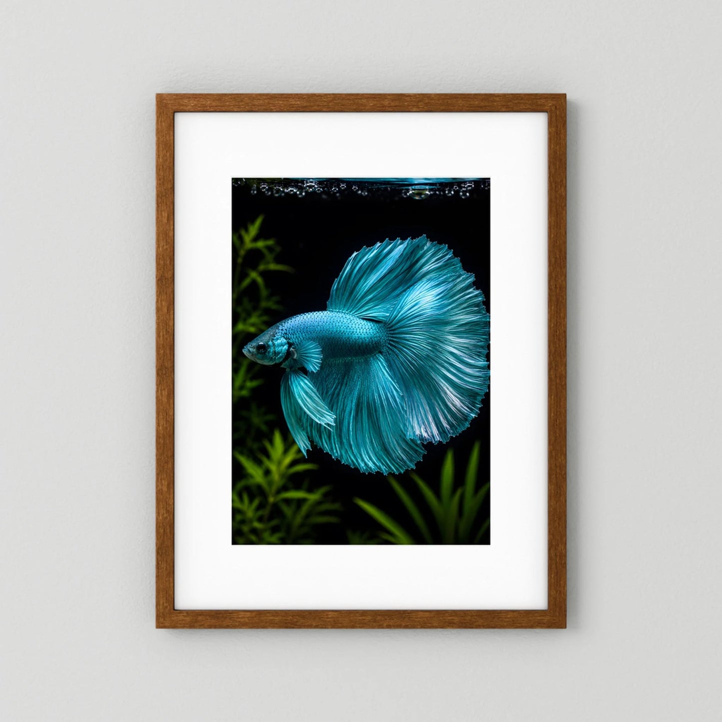 Kunstposter mit türkisfarbenem Betta-Fisch, brauner Rahmen, Hochformat