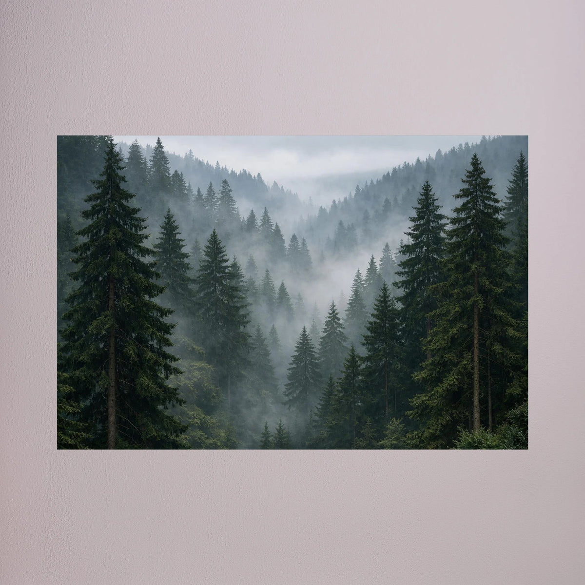 Wandbild Querformat mit Nebelwald und Tannenbäumen, ohne Rahmen