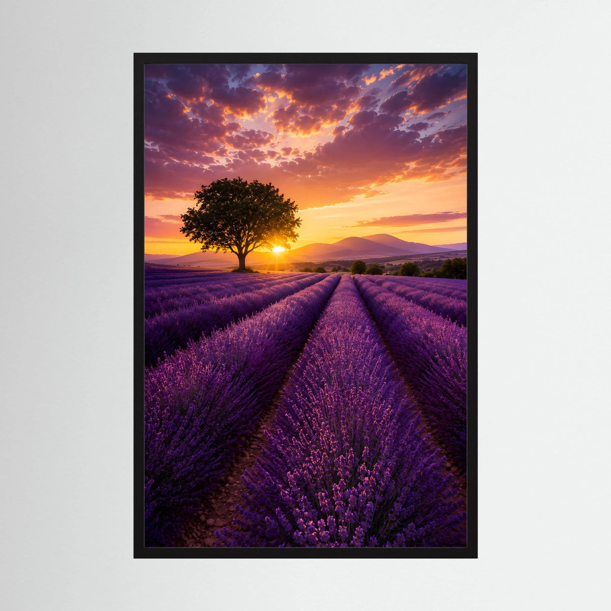 Naturposter im Hochformat mit Lavendelfeld bei Sonnenuntergang, schwarze Einfassung