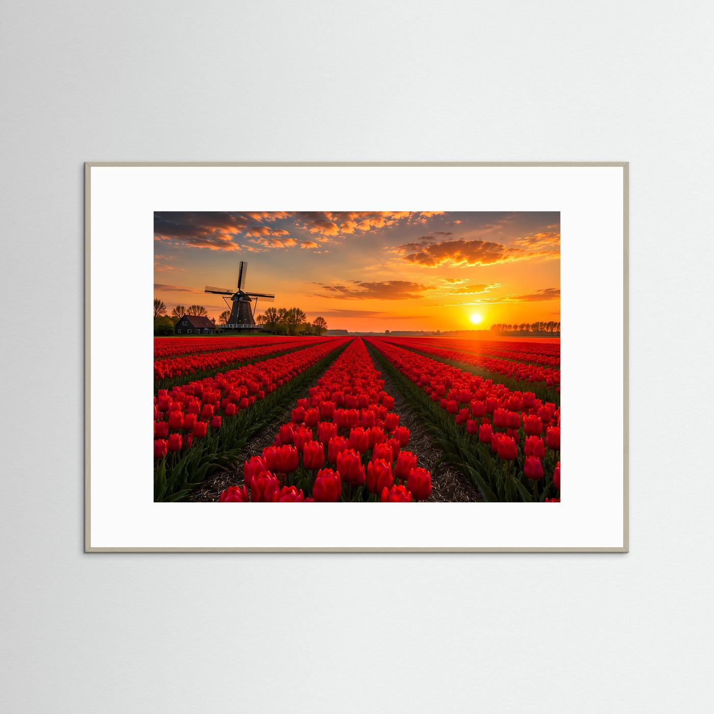 Rotes Tulpenfeld Holland Poster Querformat | Windmühle & Sonnenuntergang