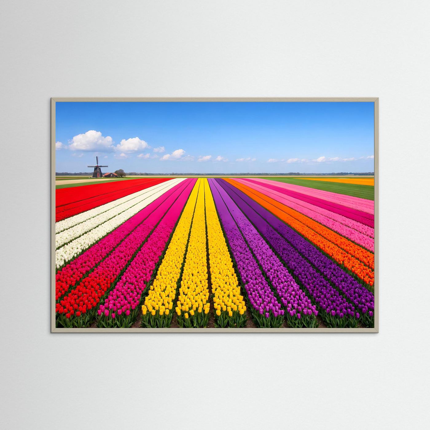 Panorama-Tulpenfeld-Poster Querformat mit farbigen Blütenreihen und Windmühle, hellbrauner Holzrahmen