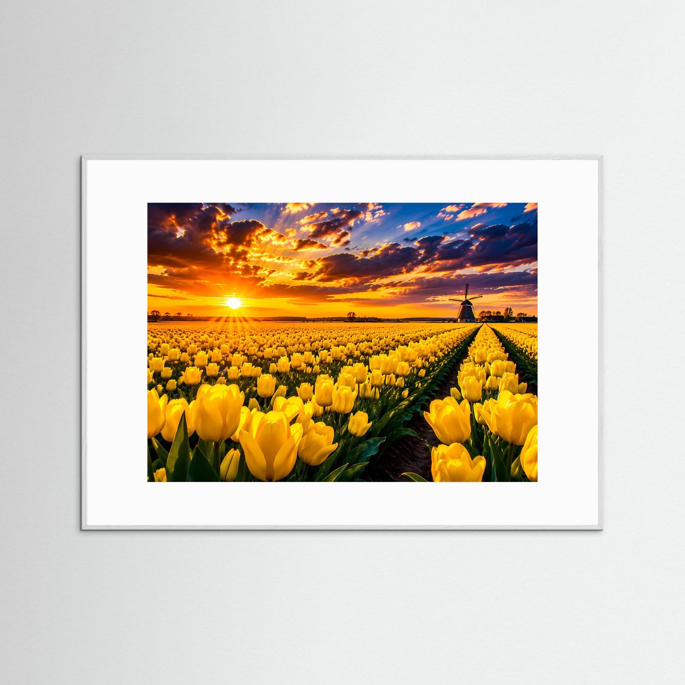 Gelbes Tulpenfeld bei Sonnenuntergang | Windmühle & Blumenlandschaft