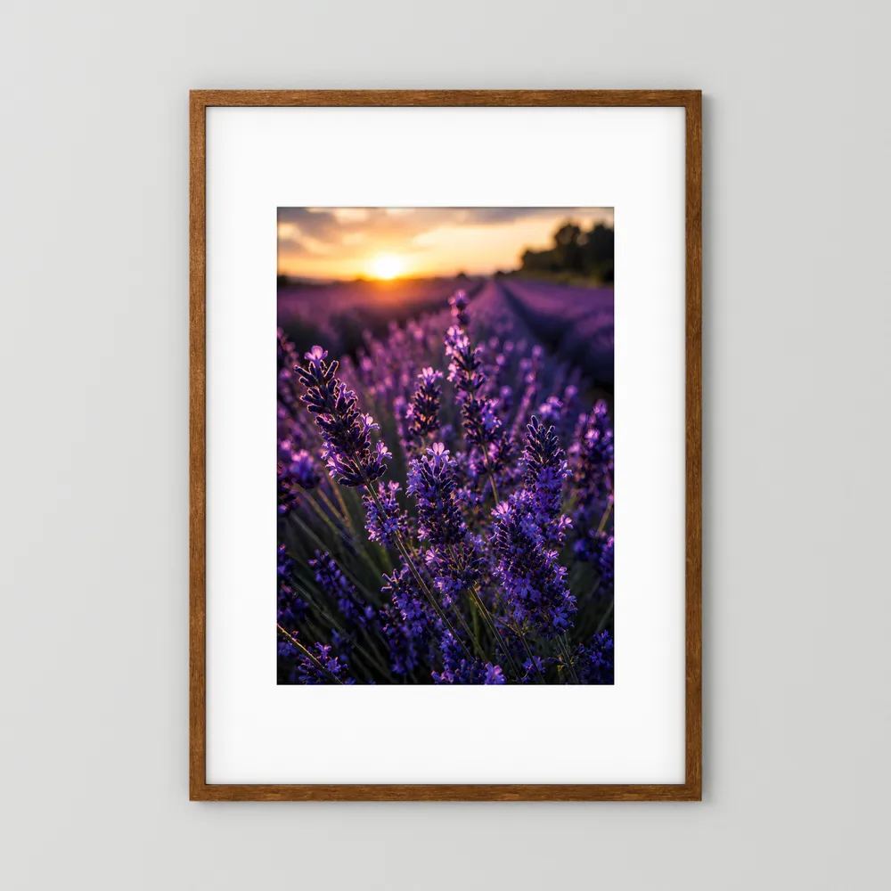 Hochformatiges Lavendelfeld-Poster mit violetten Blüten im Sonnenuntergang, im braunen Holzrahmen