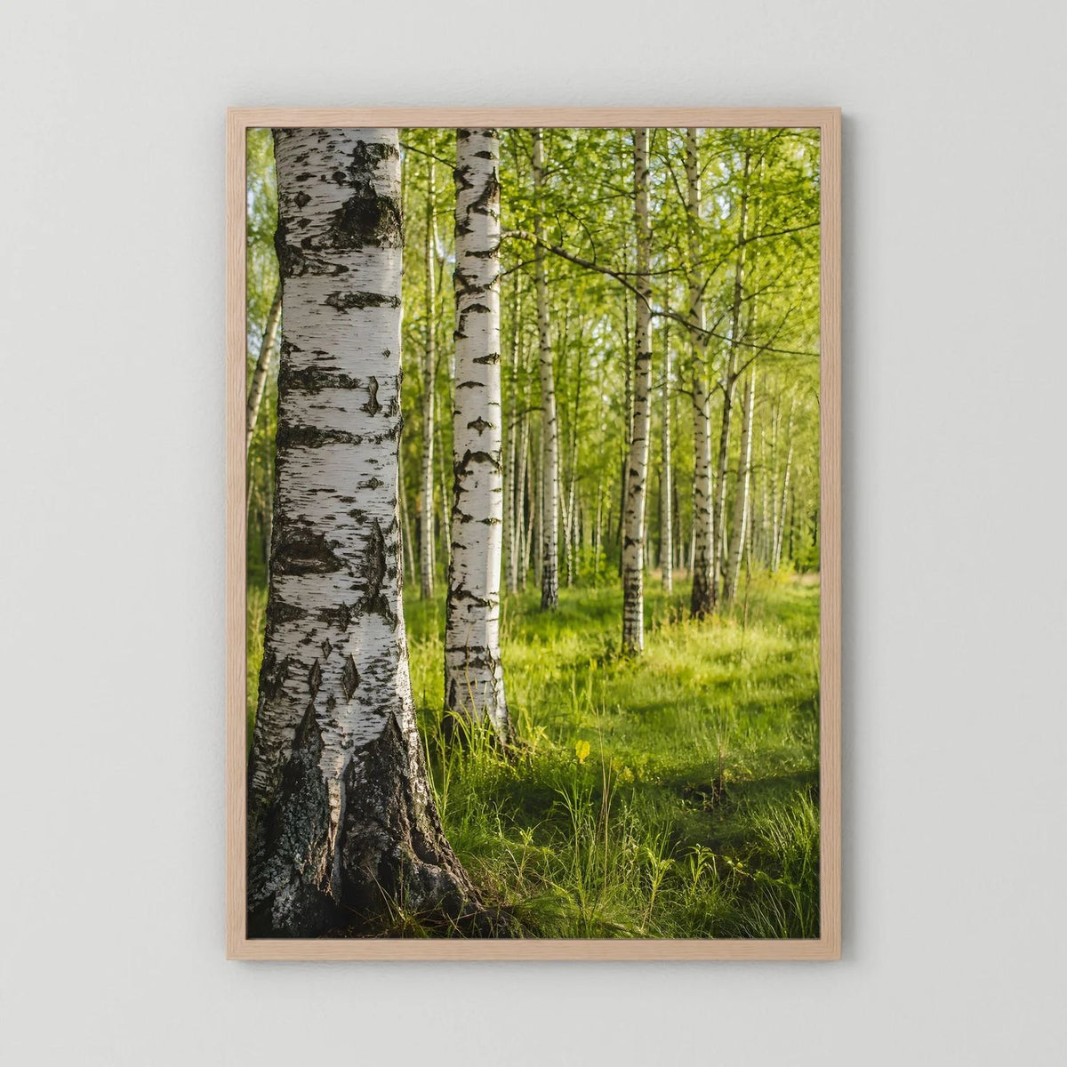 Poster im Hochformat: Birkenwald mit grüner Wiese, brauner Holzrahmen