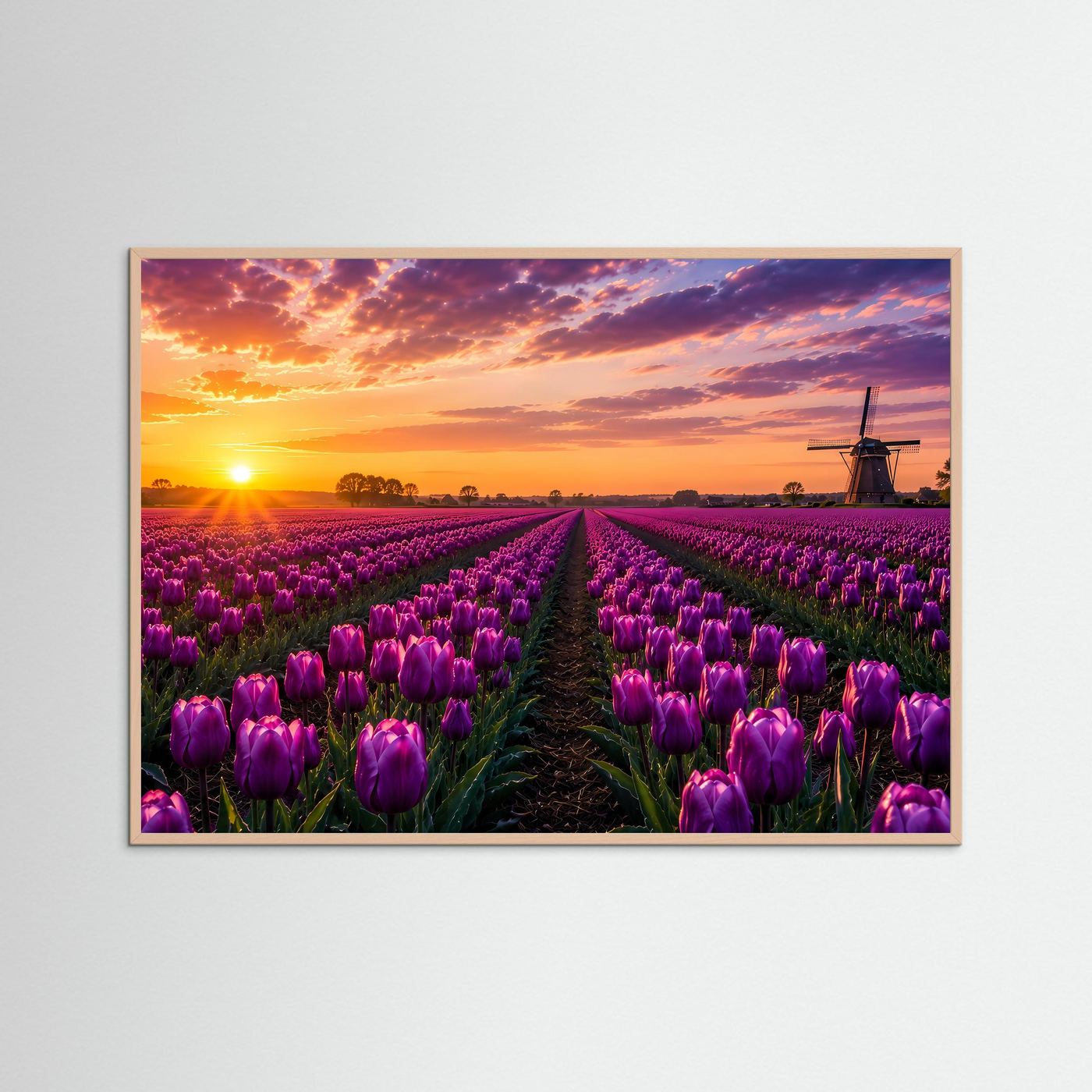 Lila Tulpenfeld-Druck im naturfarbenen Holzrahmen, lila Tulpenreihen auf Feldweg bei Sonnenuntergang