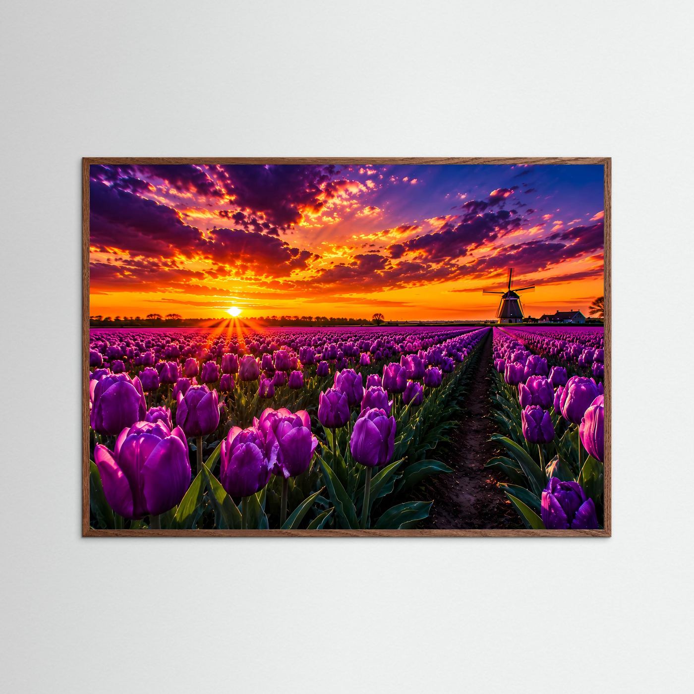 Lila Tulpenfeld Holland Poster Querformat | Windmühle & Sonnenuntergang