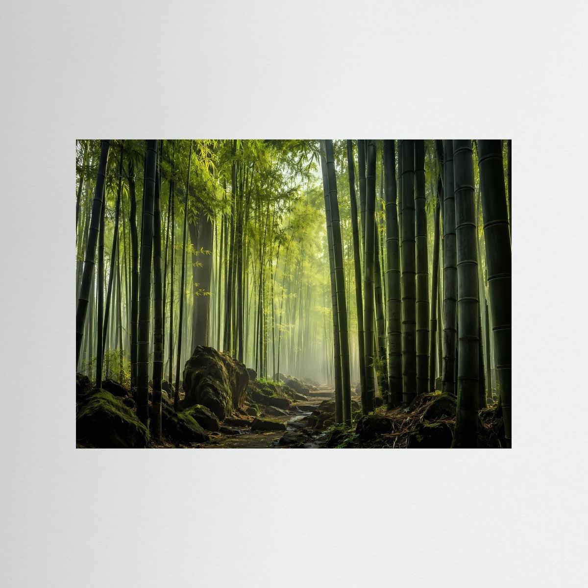 Leinwandbild mit Bambuswald-Motiv: grüner Wald, Sonnenlicht zwischen hohen Bambusstäben