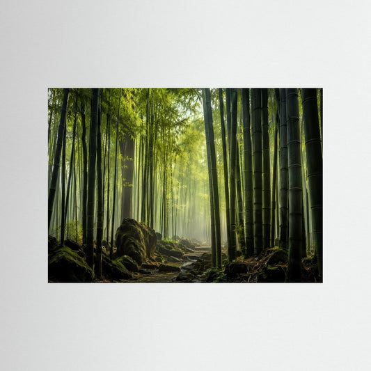 Leinwandbild mit Bambuswald-Motiv: grüner Wald, Sonnenlicht zwischen hohen Bambusstäben