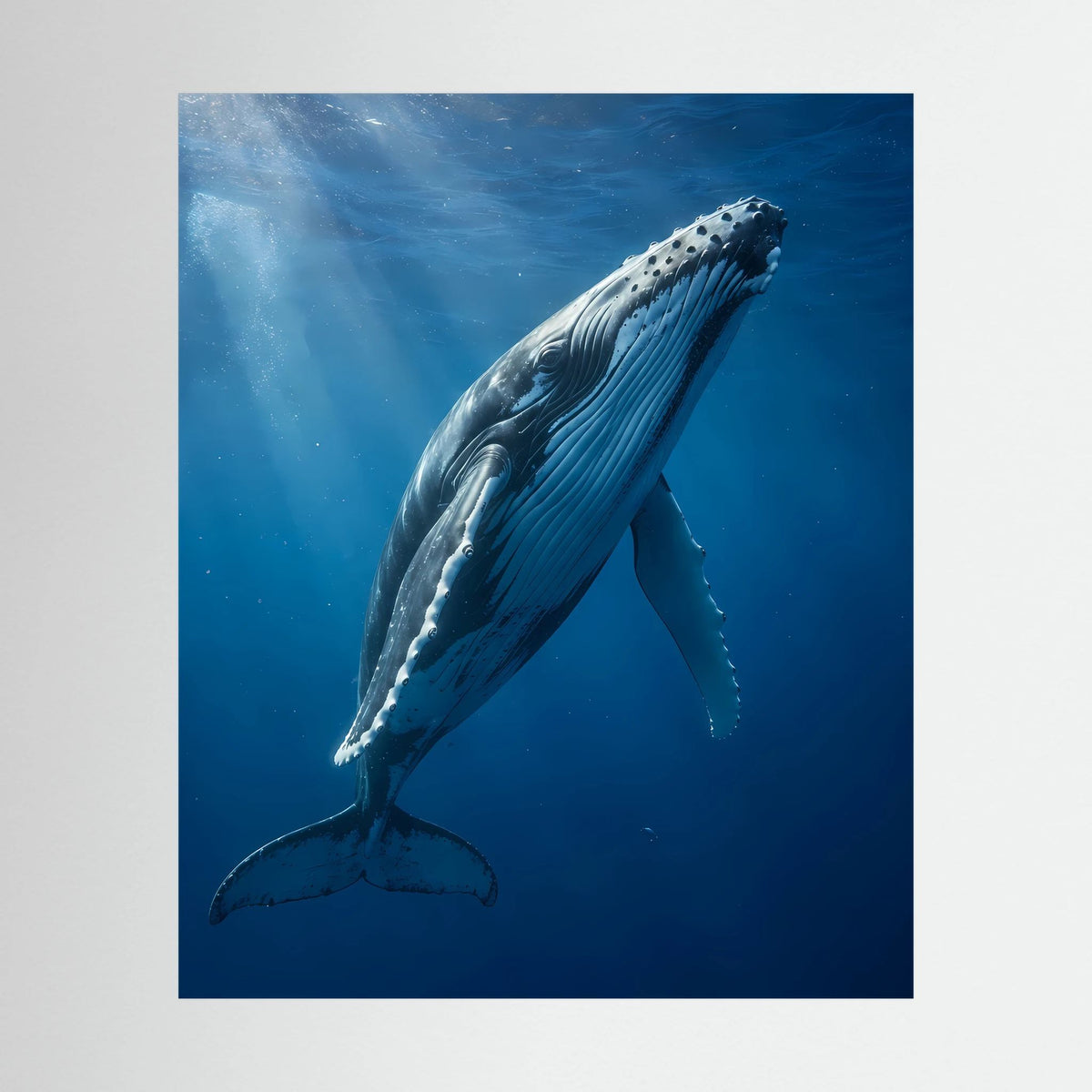 Poster im Hochformat mit Buckelwal unter Wasser, blauer Farbwelt
