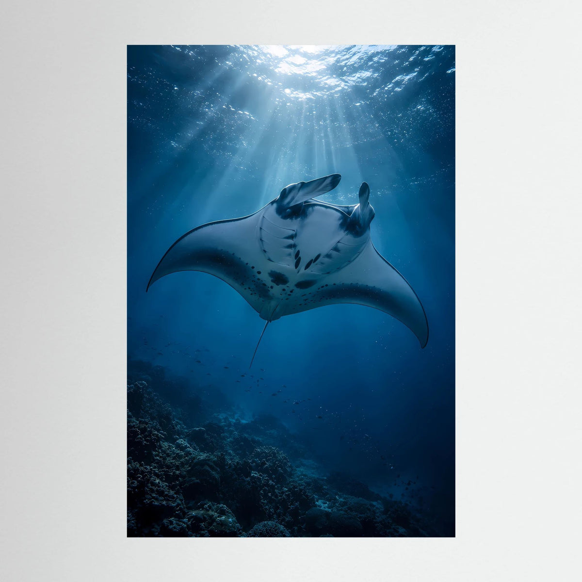 Hochformat-Poster mit Mantarochen im tiefblauen Ozean, Lichtstrahlen