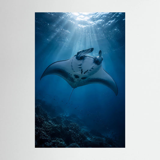 Hochformat-Poster mit Mantarochen im tiefblauen Ozean, Lichtstrahlen