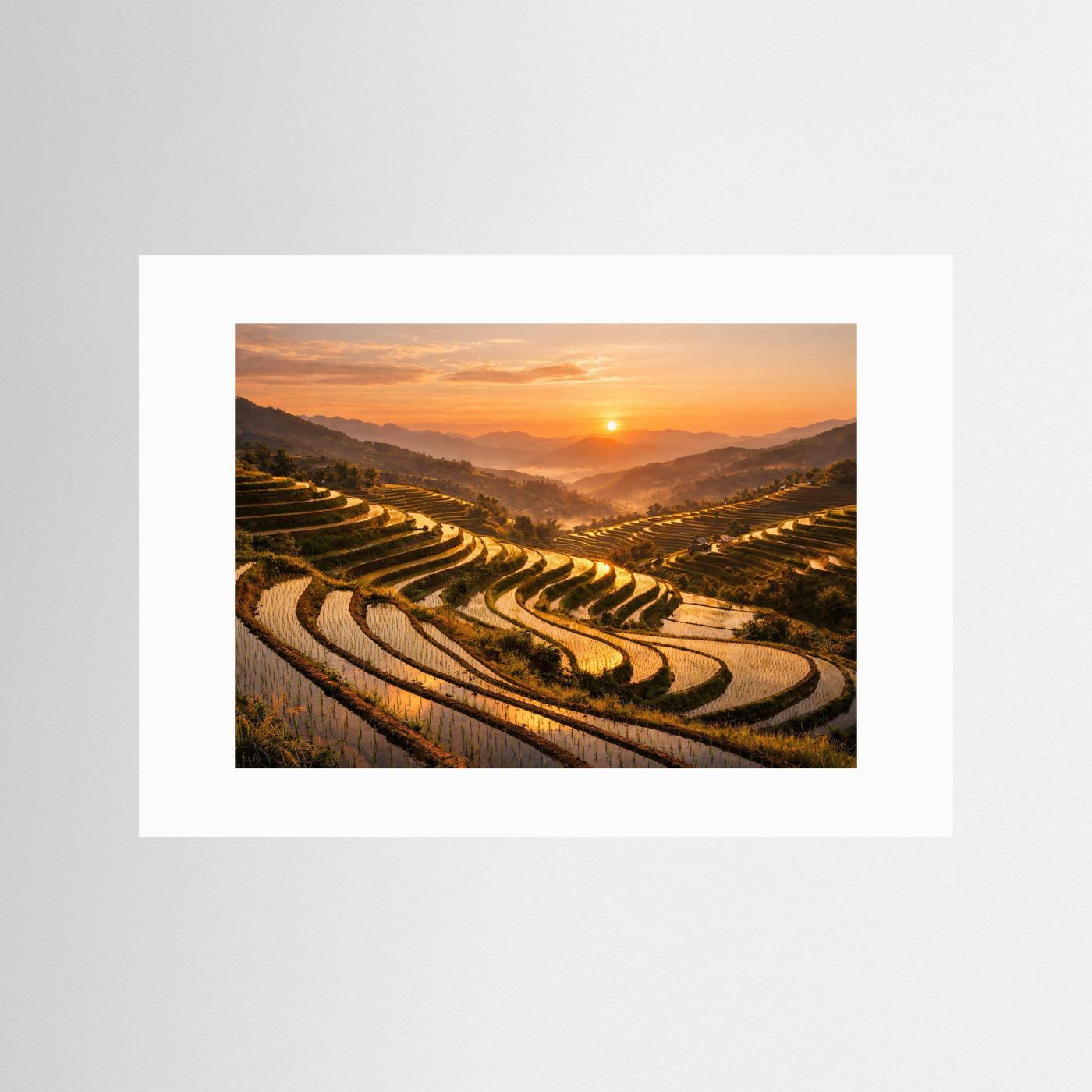 Poster mit Motiv terrassierter Reisterrassen bei Sonnenuntergang, weißer Rand.