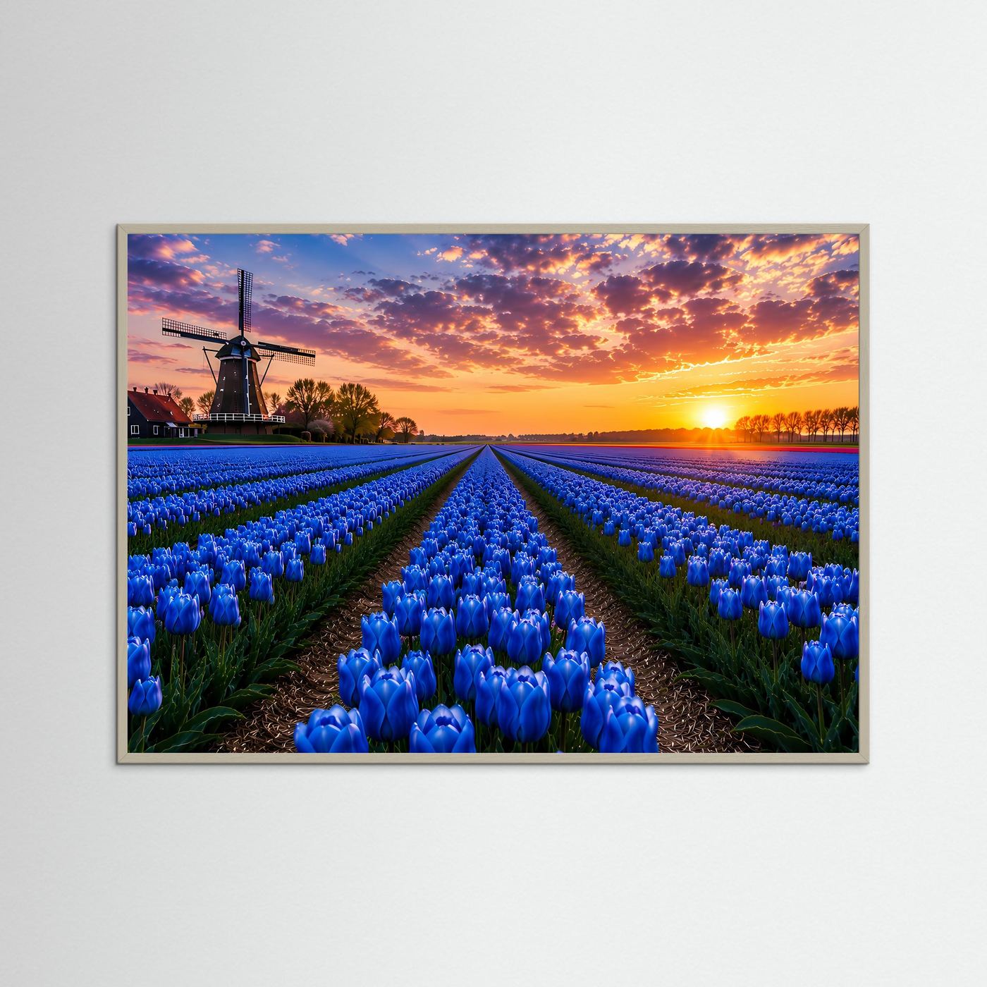 Blaues Tulpenfeld Holland Poster Querformat | Windmühle & Sonnenuntergang