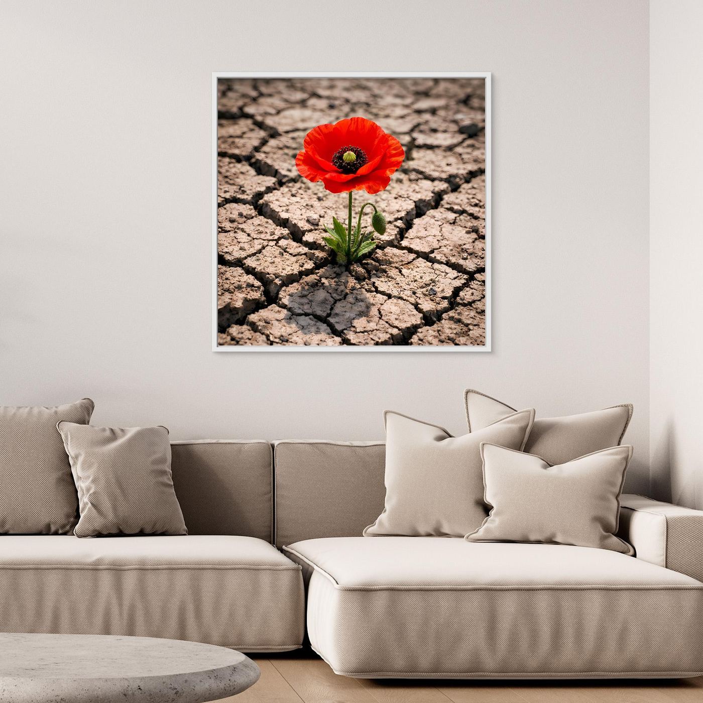 Leinwandbild mit roter Mohnblume auf rissigem Wüstenboden, weißer Rahmen
