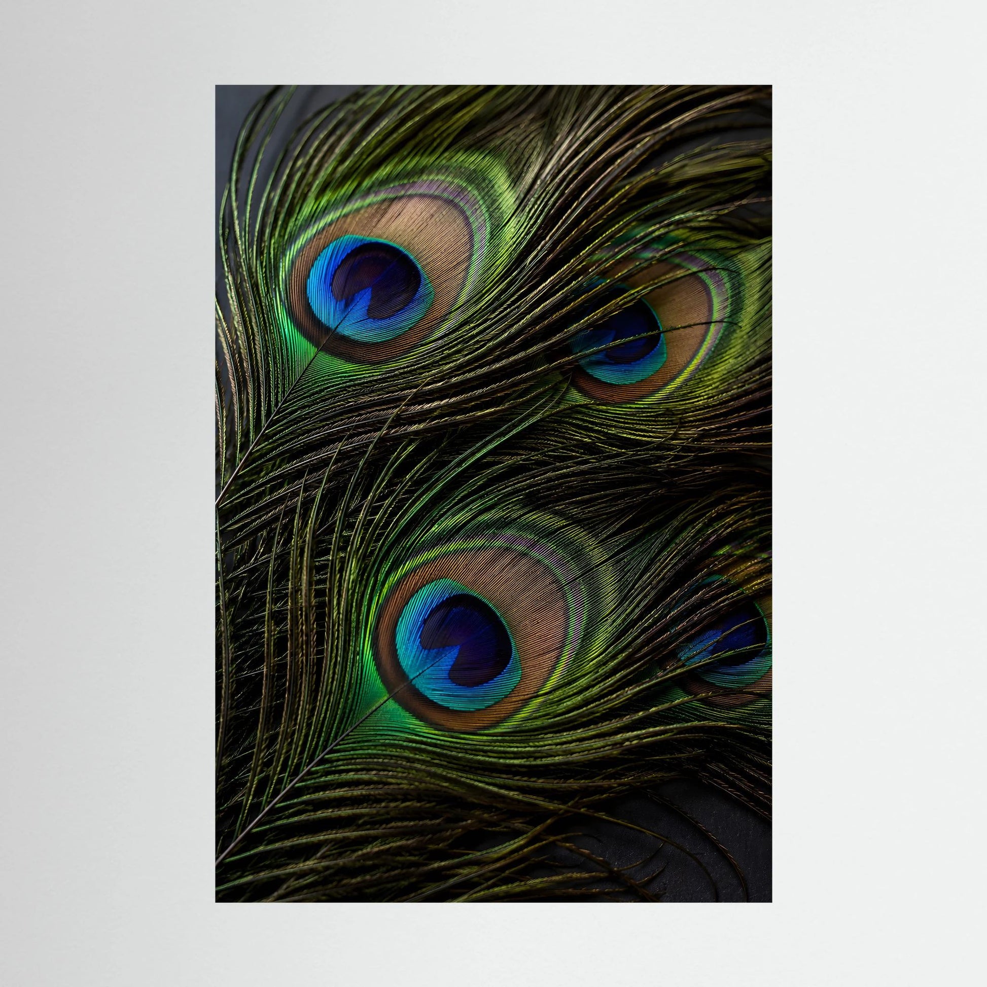 Poster mit Pfauenfeder-Motiv in Grün und Blau, hochformatig, Nahaufnahme