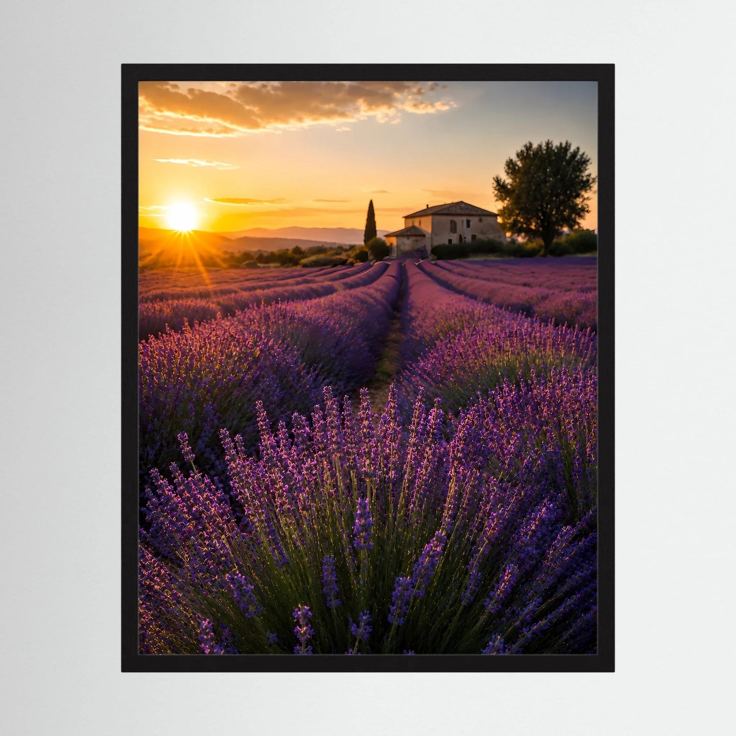 Hochformat-Kunstposter mit schwarzem Rahmen: Lavendelfeld bei Sonnenuntergang