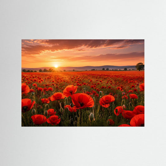 Gerahmtes Poster mit rotem Mohnblumenfeld bei Sonnenuntergang im Querformat.