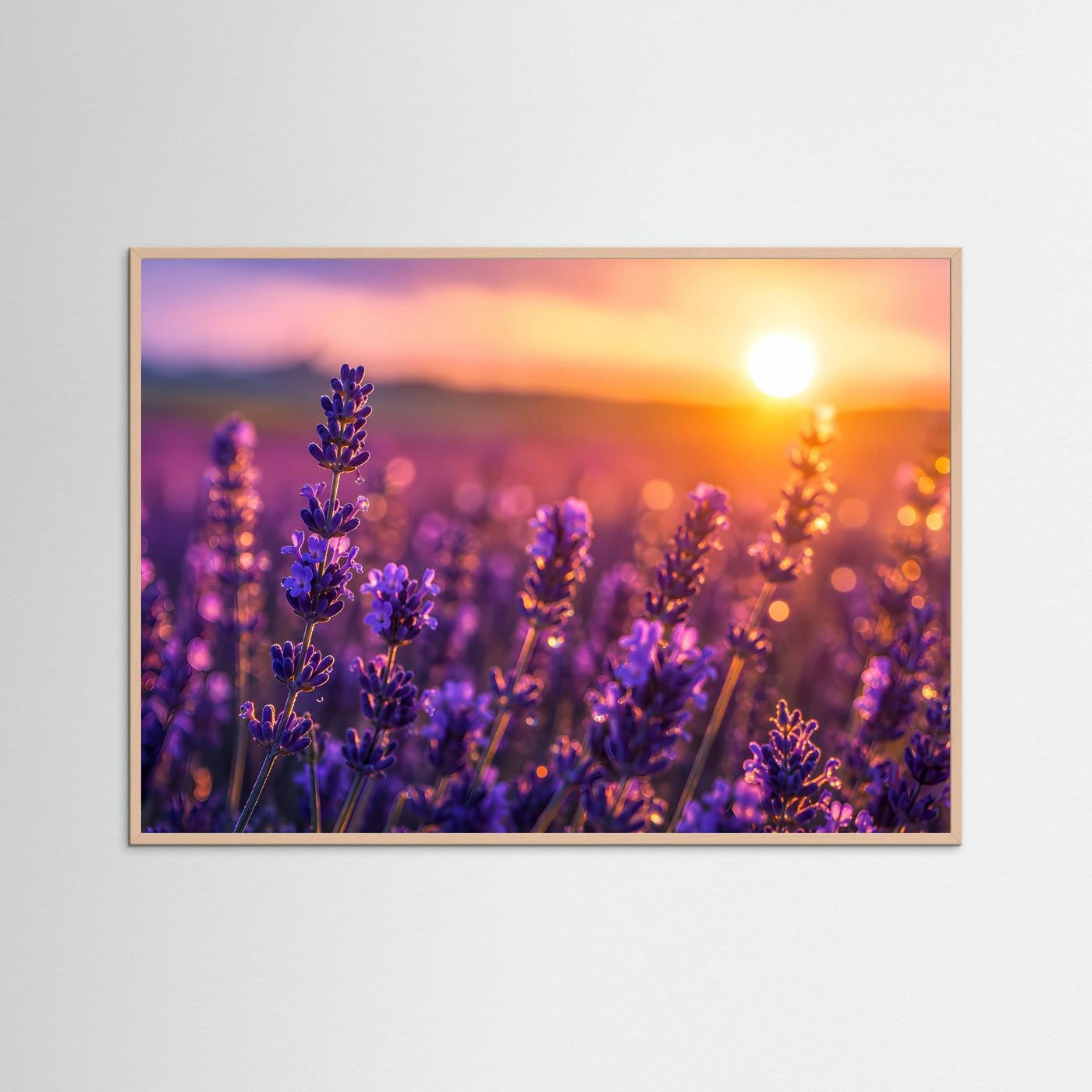 Lavendel Sonnenuntergang Poster | Provence Blumenfeld Wandbild | Romantische Naturfotografie mit Goldenem Abendlicht