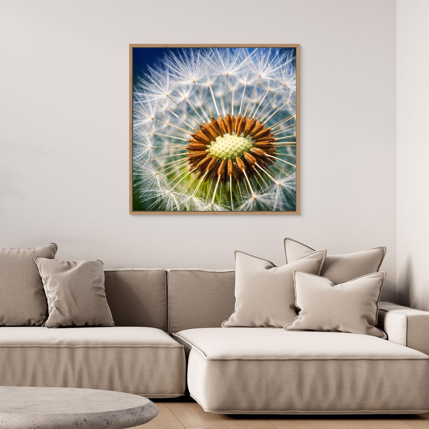 Gerahmtes Leinwandbild mit Pusteblume im Makro, braunes Korn in hellen Fäden auf Blau