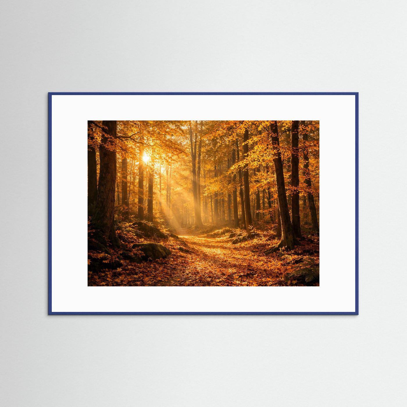 Goldener Herbstwald im Sonnenlicht | Panorama Wald & Natur Poster Querformat
