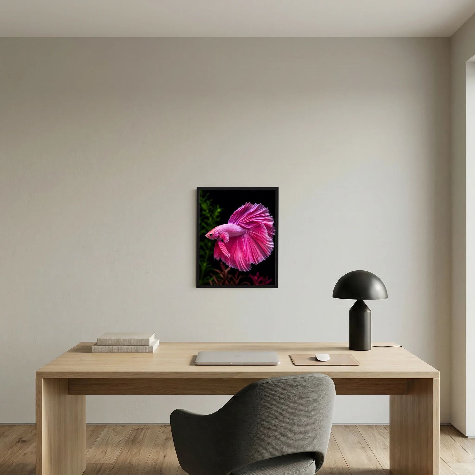 Tierposter im Hochformat mit rosa Betta, großem Schwanzflossenfächer im schwarzen Rahmen