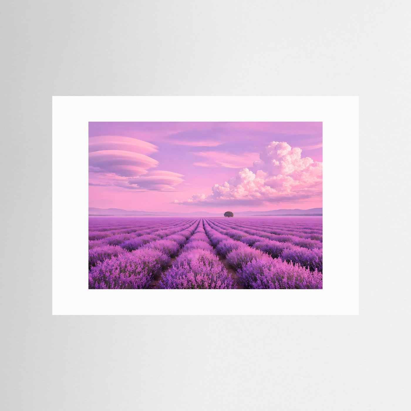 Traumhaftes Lavendelfeld in Rosa & Violett | Provence Panorama Natur Poster Querformat