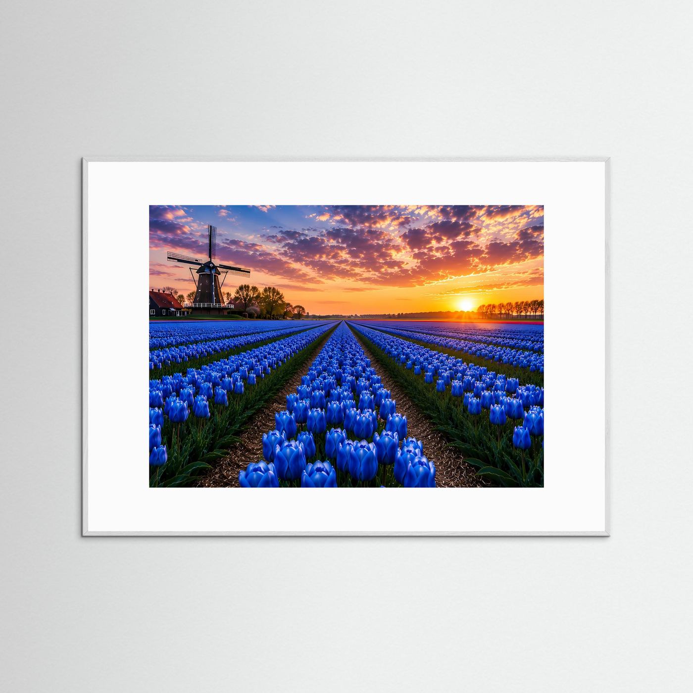 Blaues Tulpenfeld Holland Poster Querformat | Windmühle & Sonnenuntergang