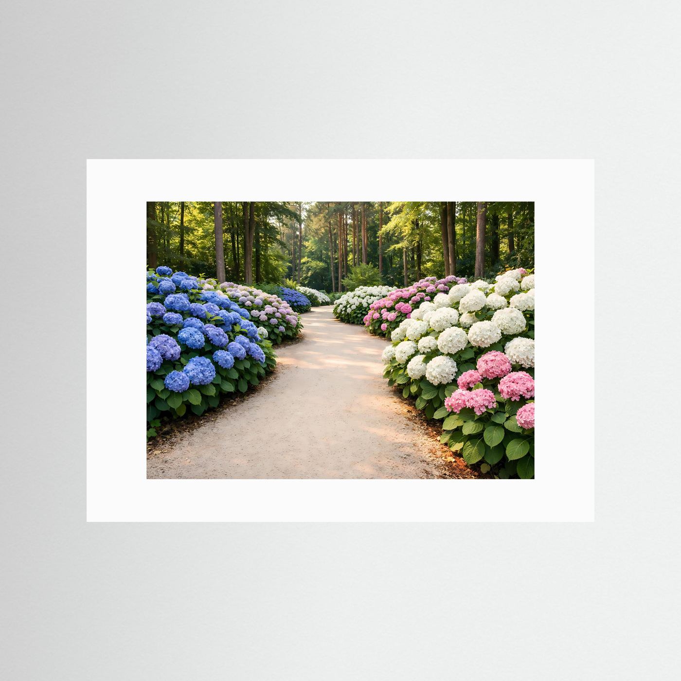 Romantischer Hortensienweg im Waldpark | Bunte Blütenpracht Natur Poster Querformat