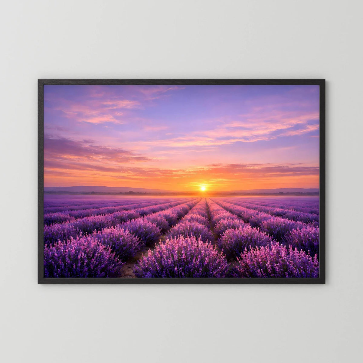 Wandbild im Querformat mit Lavendelfeld und Sonnenuntergang, schwarzer Rahmen