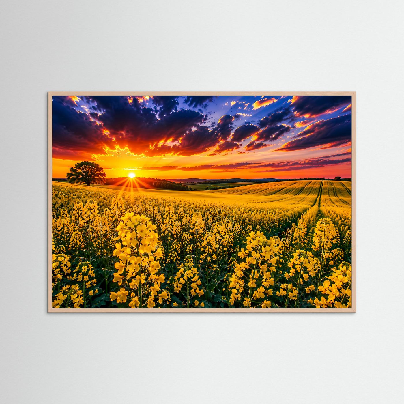 Rapsfeld Wandbild im Sonnenuntergang | Landschaft Poster mit gelben Blumen